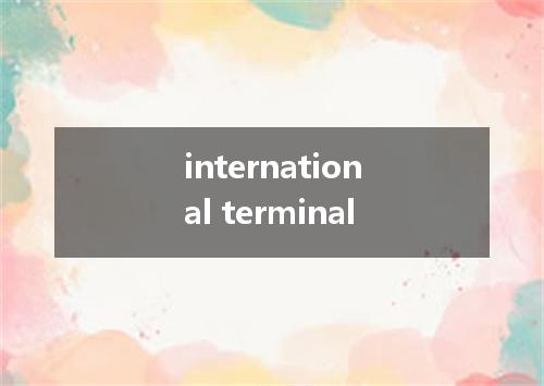 international terminal是什么意思