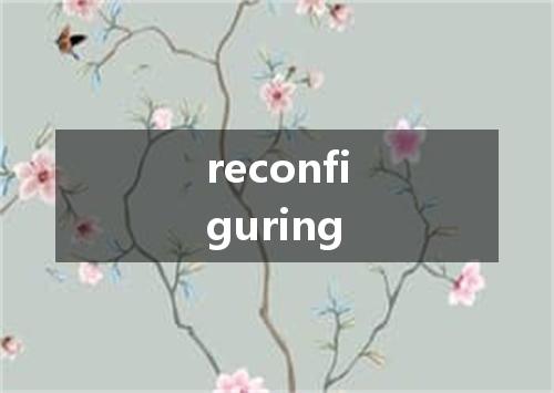 reconfiguring是什么意思
