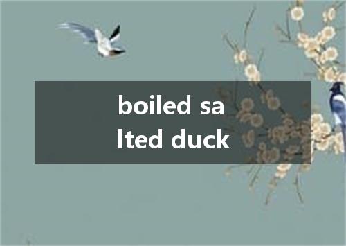 boiled salted duck是什么意思