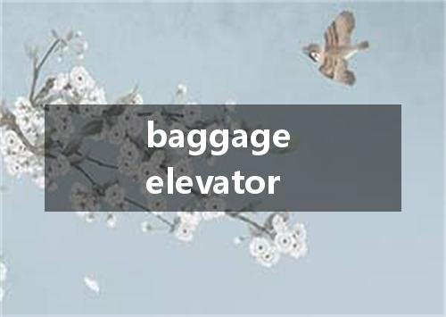 baggage elevator是什么意思