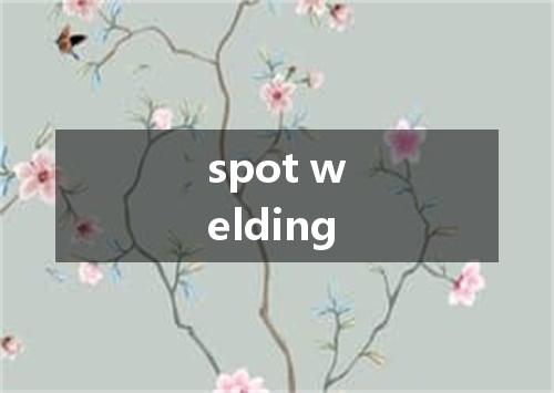 spot welding是什么意思