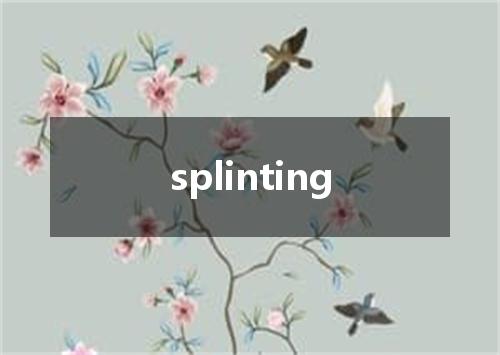 splinting是什么意思