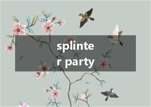 splinter party是什么意思