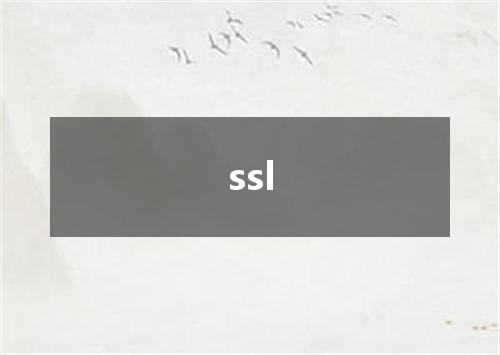 ssl是什么意思
