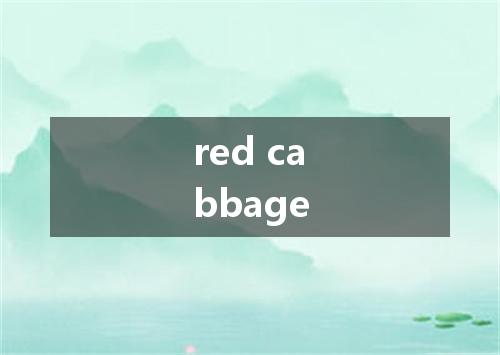 red cabbage是什么意思