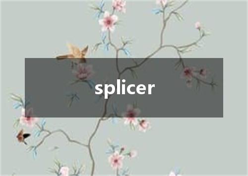 splicer是什么意思