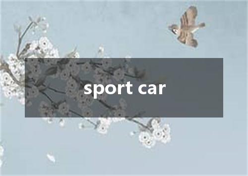 sport car是什么意思
