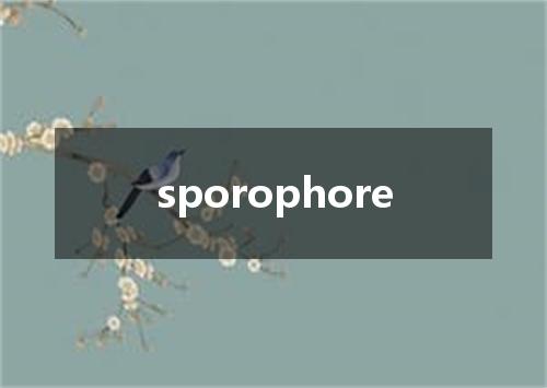 sporophore是什么意思