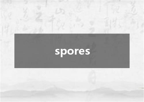 spores是什么意思