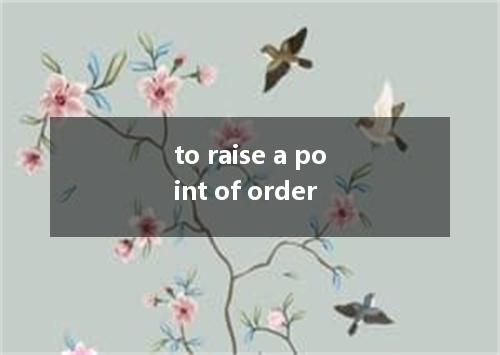 to raise a point of order是什么意思