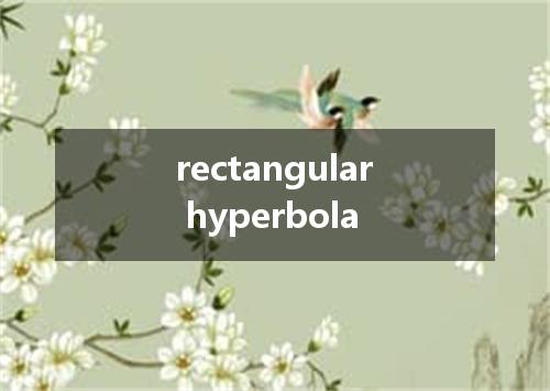 rectangular hyperbola是什么意思