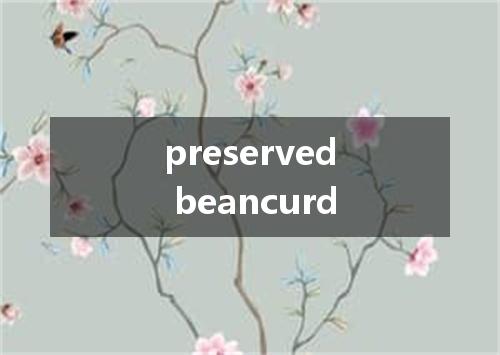 preserved beancurd是什么意思