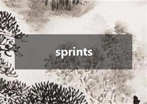 sprints是什么意思
