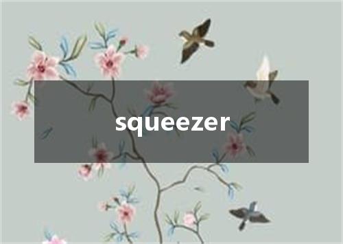 squeezer是什么意思