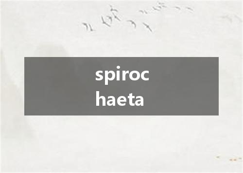 spirochaeta是什么意思