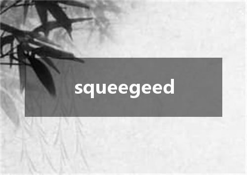squeegeed是什么意思
