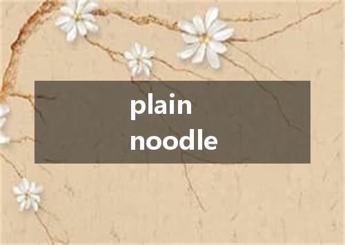 plain noodle是什么意思