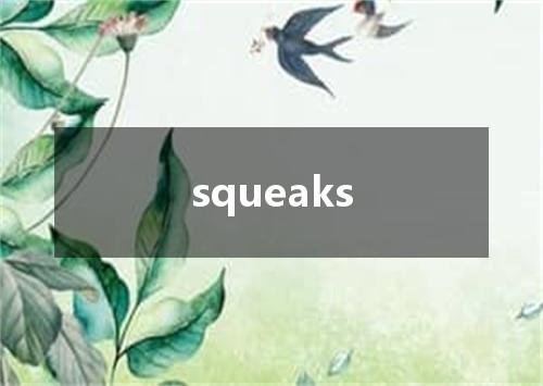 squeaks是什么意思