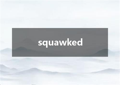 squawked是什么意思