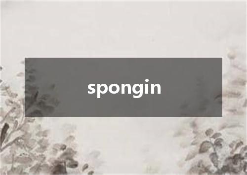 spongin是什么意思