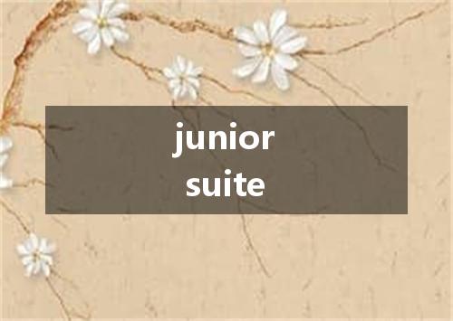 junior suite是什么意思