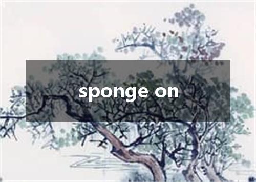 sponge on是什么意思