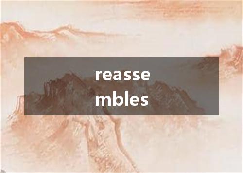 reassembles是什么意思