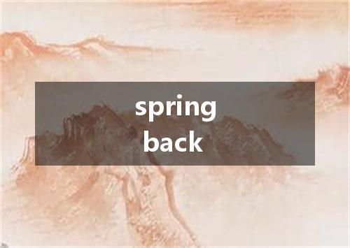 spring back是什么意思