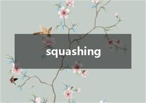 squashing是什么意思