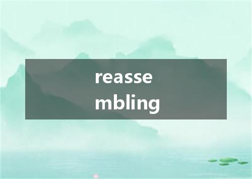 reassembling是什么意思