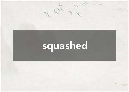 squashed是什么意思