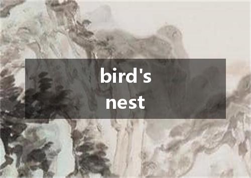 bird's nest是什么意思