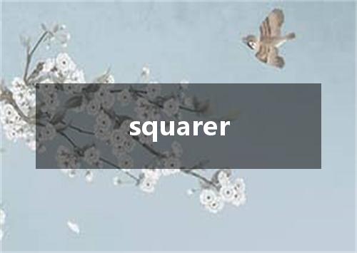 squarer是什么意思