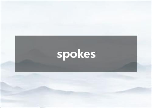 spokes是什么意思