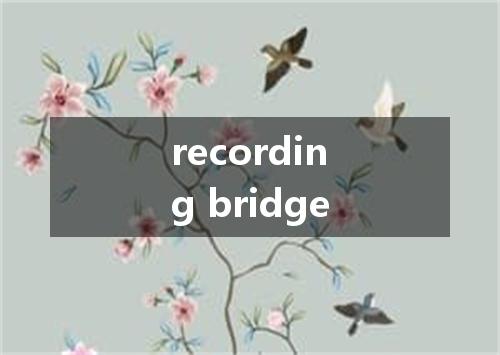 recording bridge是什么意思