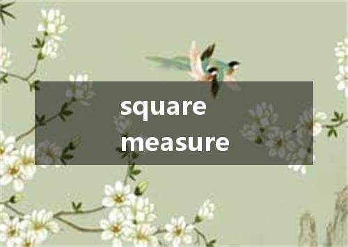 square measure是什么意思