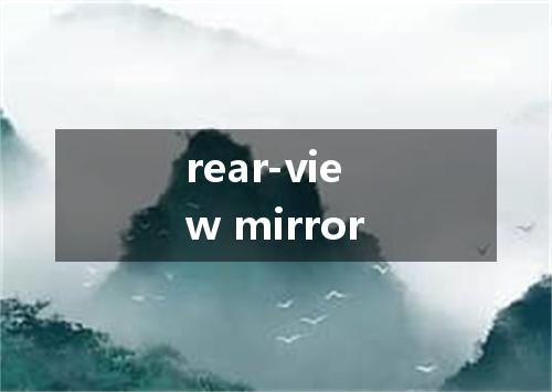 rear-view mirror是什么意思