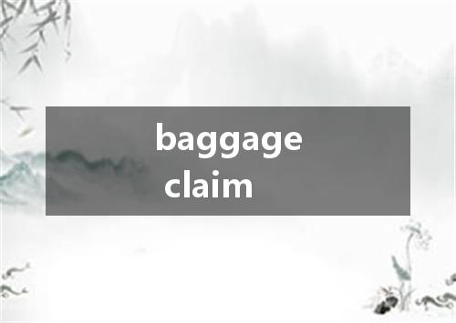 baggage claim是什么意思