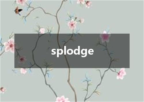 splodge是什么意思