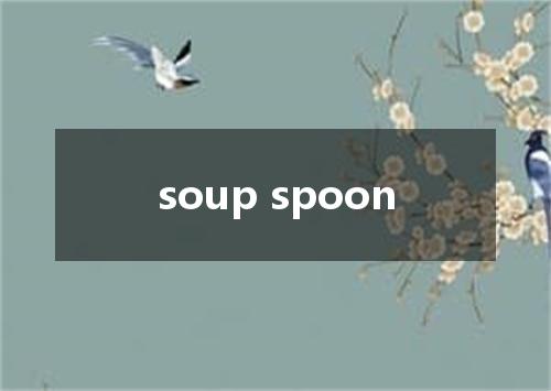 soup spoon是什么意思