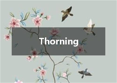 Thorning是什么意思