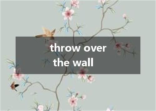throw over the wall是什么意思