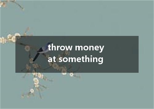 throw money at something是什么意思