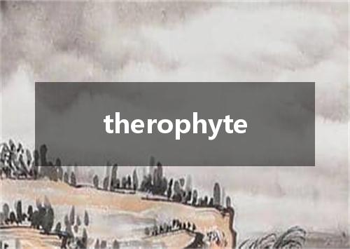 therophyte是什么意思