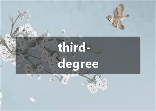 third-degree是什么意思