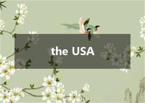 the USA是什么意思