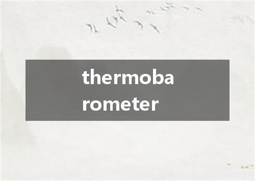 thermobarometer是什么意思