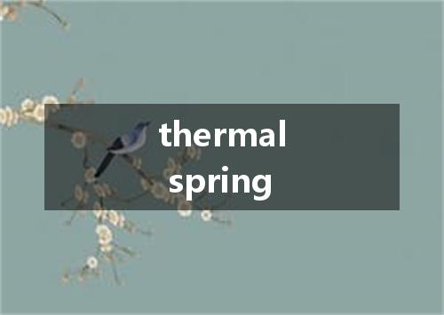 thermal spring是什么意思
