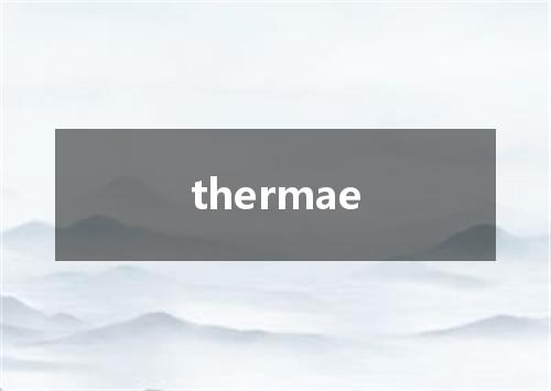 thermae是什么意思