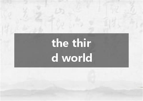 the third world是什么意思